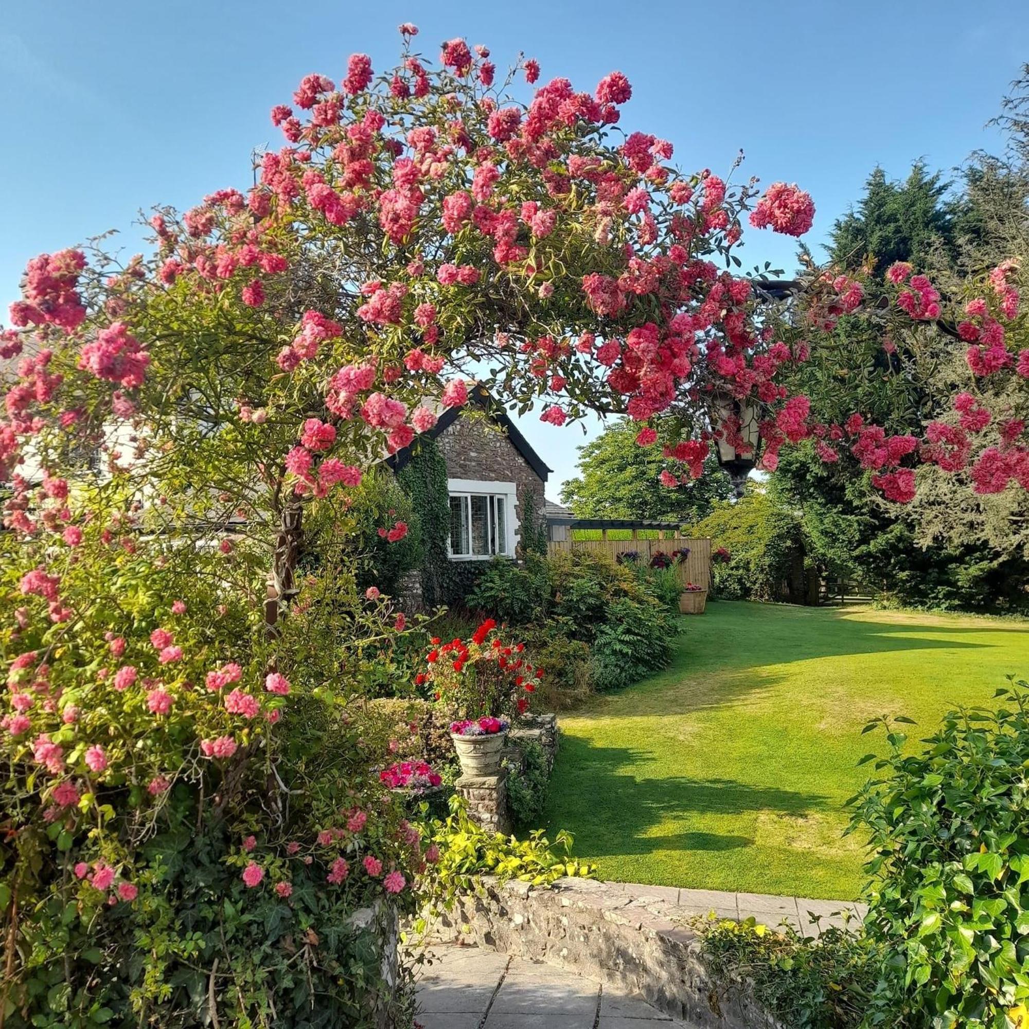 The Greyhound Inn And Hotel Usk Extérieur photo